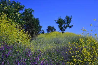 DSC_6142 (Large).JPG